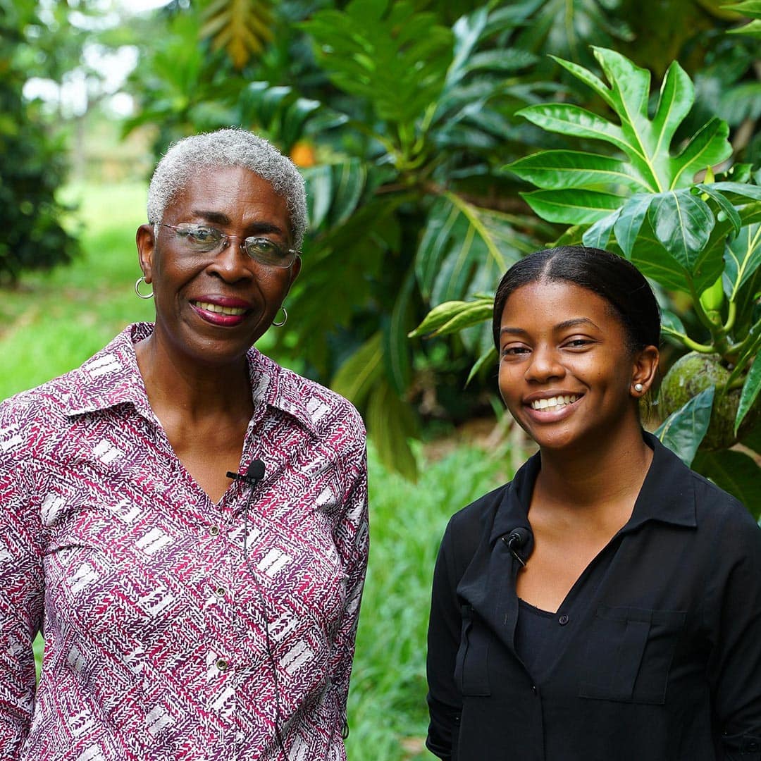 breadfruit oil down